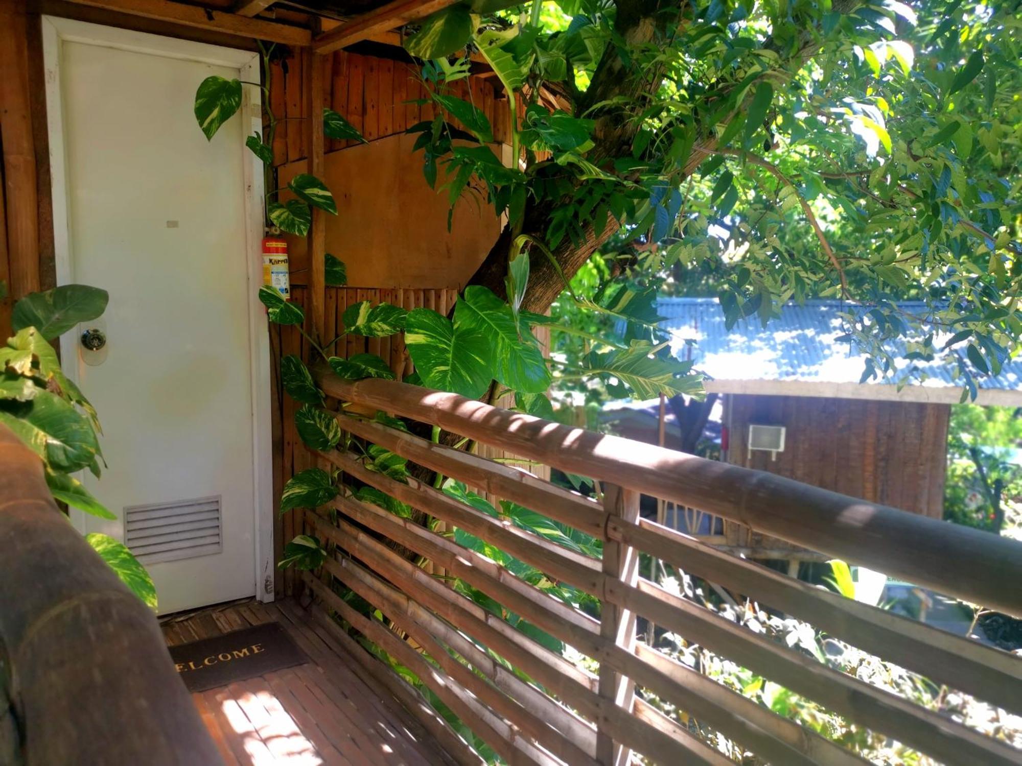 Stay N Save B&B Oslob Szoba fotó