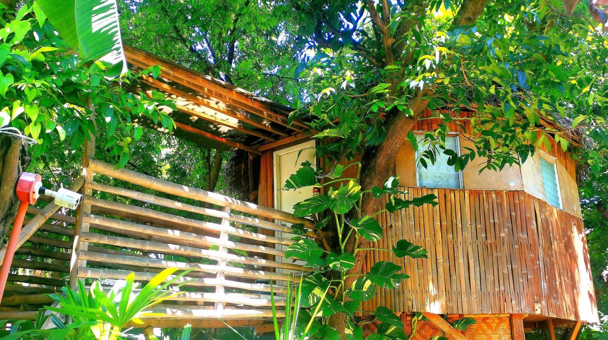 Stay N Save B&B Oslob Szoba fotó